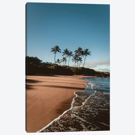 Morning Walk On The Beach Canvas Print #LCS194} by Lucas Moore Canvas Wall Art