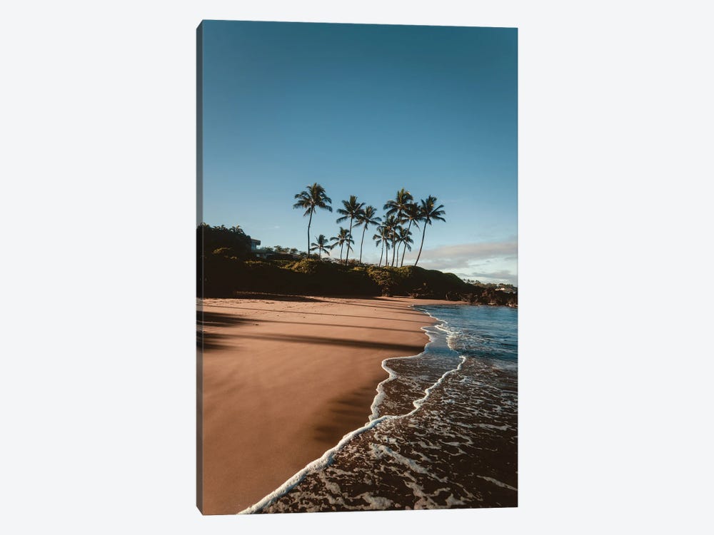 Morning Walk On The Beach by Lucas Moore 1-piece Canvas Print