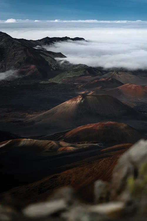In The Crater by Lucas Moore wall art