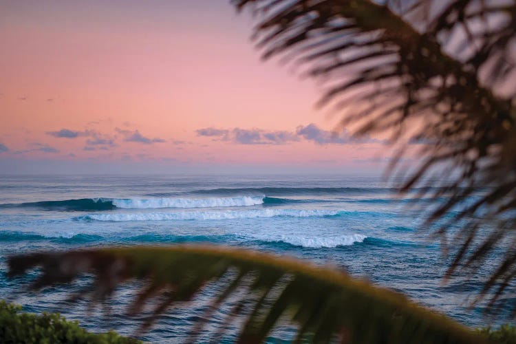 Island Morning by Lucas Moore wall art