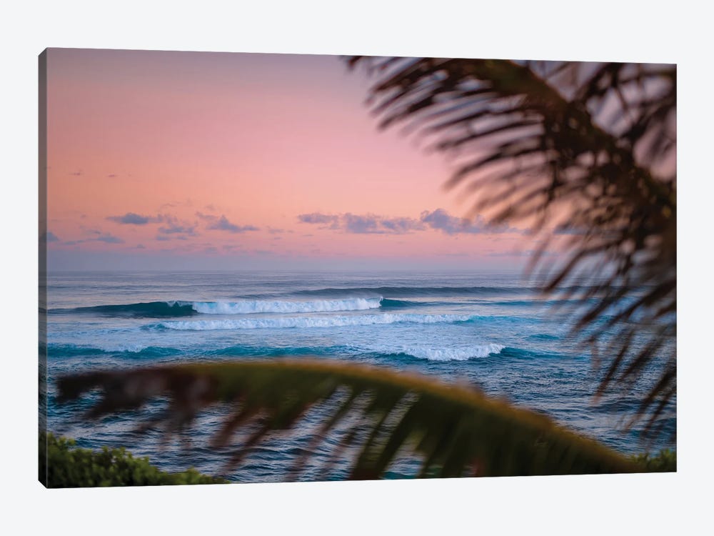 Island Morning by Lucas Moore 1-piece Canvas Art