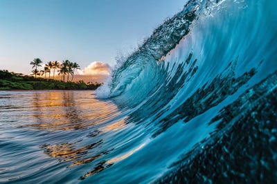 Morning Wave by Lucas Moore framed canvas print