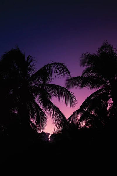 Hawaii: Deep Sunset by Lucas Moore