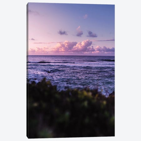 Dreamy Evening Canvas Print #LCS208} by Lucas Moore Canvas Art Print