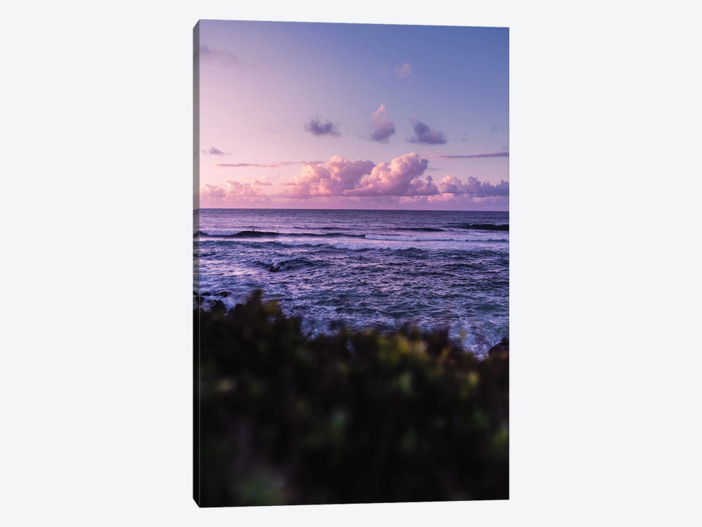 Dreamy Evening by Lucas Moore 1-piece Canvas Wall Art