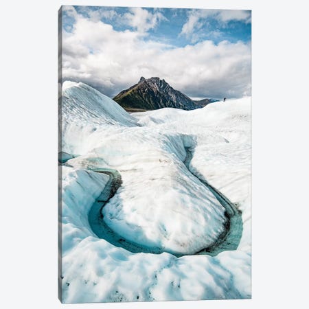 Cold Journey Canvas Print #LCS20} by Lucas Moore Canvas Print