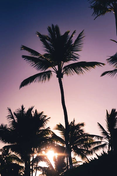 Maui: Morning Colors by Lucas Moore