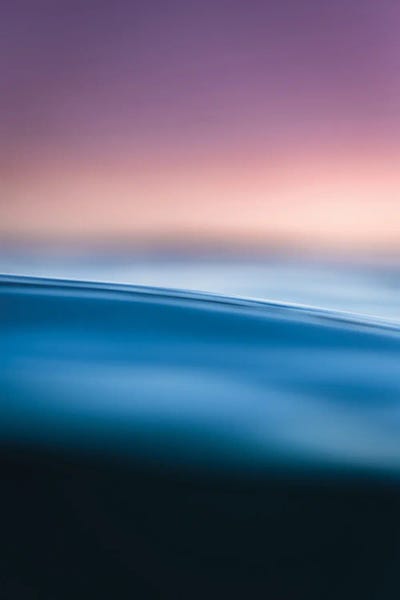 Tranquility by Lucas Moore framed canvas print