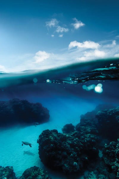 Lucas Moore: Deep Blue Sea by Lucas Moore