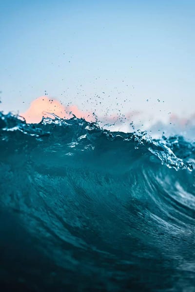 Crest by Lucas Moore framed canvas print