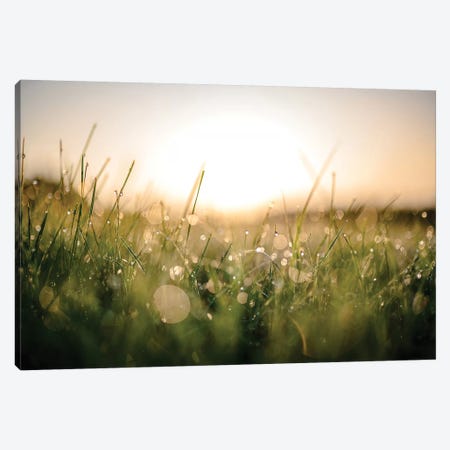 Damp Morning Canvas Print #LCS28} by Lucas Moore Canvas Art Print