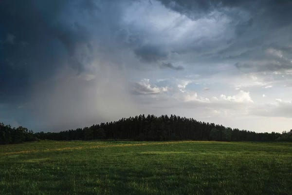 Lucas Moore: Evening Rain by Lucas Moore