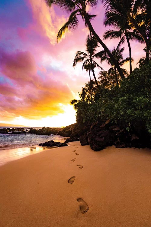 Footprints In The Sand by Lucas Moore wall art