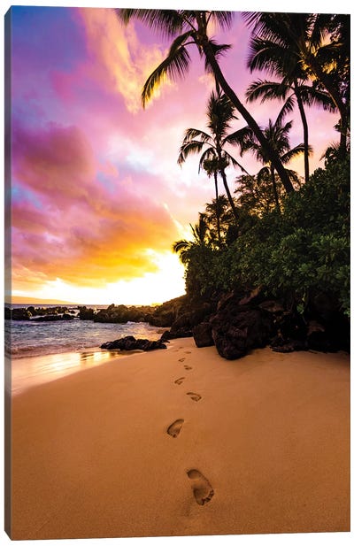 Footprints In The Sand Canvas Art Print - Lucas Moore