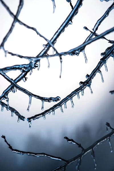 Frozen by Lucas Moore framed canvas print