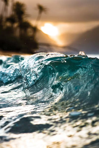 Glassy Wave by Lucas Moore framed canvas print