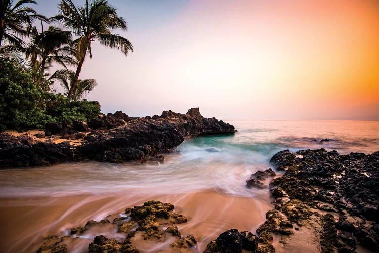 Hawaiian Paradise by Lucas Moore wall art