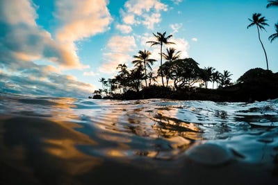 Lost At Sea by Lucas Moore framed canvas print