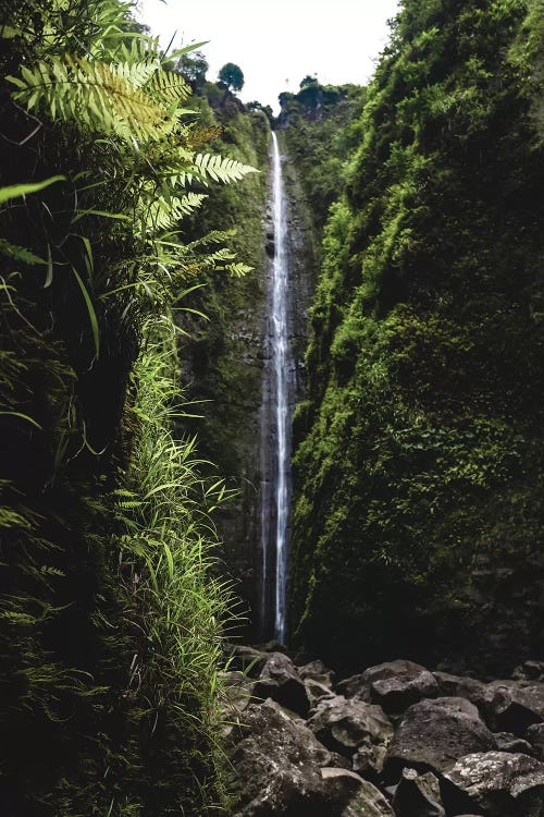 Lush Waterfall