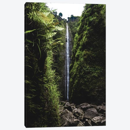 Lush Waterfall Canvas Print #LCS54} by Lucas Moore Art Print