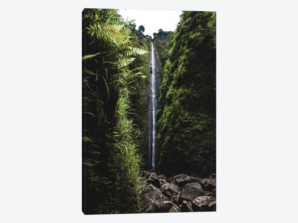 Lush Waterfall by Lucas Moore 1-piece Canvas Artwork