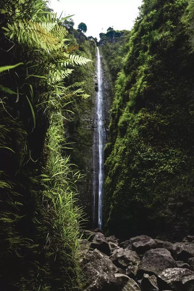Lucas Moore: Lush Waterfall by Lucas Moore