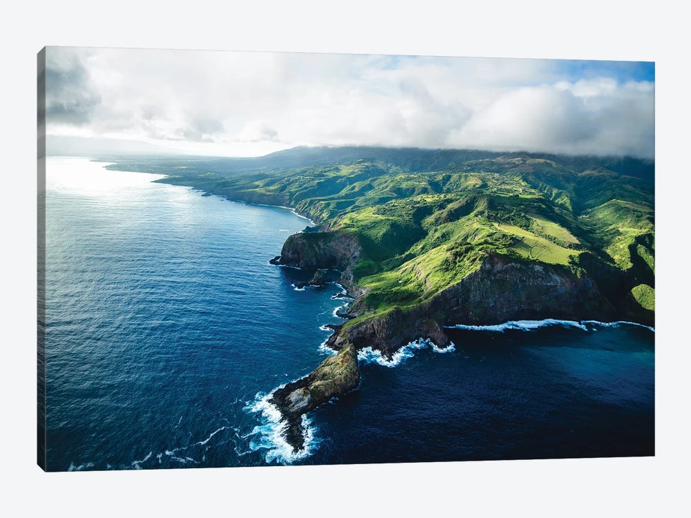 Maui Land & Sea by Lucas Moore 1-piece Canvas Artwork