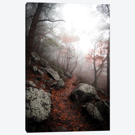 Moody Forest Canvas Print #LCS59} by Lucas Moore Canvas Artwork