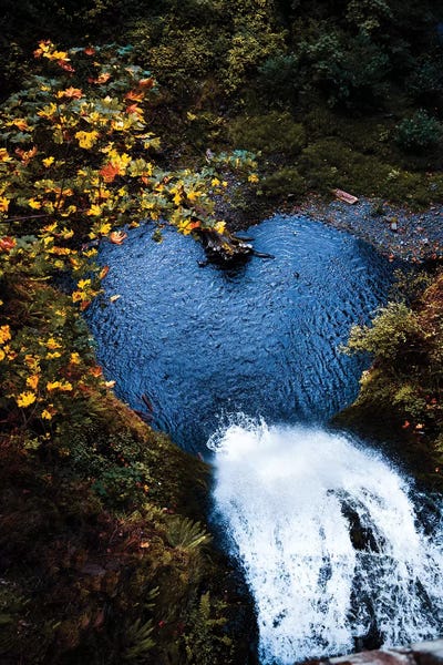 Lucas Moore: Nature Love by Lucas Moore