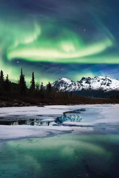 stress underskud Mand Northern Lights Landscape Canvas Wall Art by Lucas Moore | iCanvas