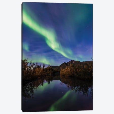 Northern Lights Reflection Canvas Print #LCS68} by Lucas Moore Canvas Print