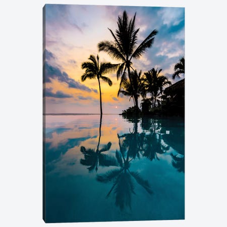 Palm Tree Reflection Canvas Print #LCS69} by Lucas Moore Art Print