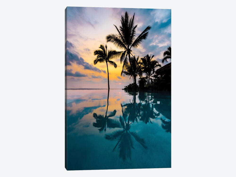 Palm Tree Reflection by Lucas Moore 1-piece Canvas Art