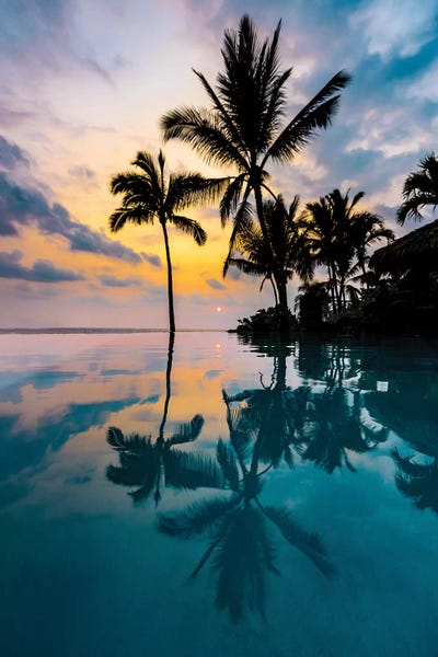 Lucas Moore: Palm Tree Reflection by Lucas Moore