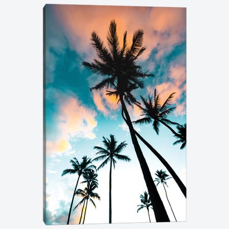 Palm Tree Sunrise Canvas Print #LCS70} by Lucas Moore Canvas Art