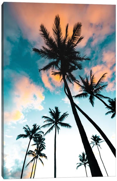 Palm Tree Sunrise Canvas Art Print - Lucas Moore