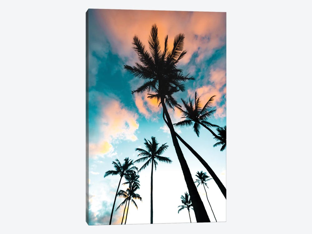 Palm Tree Sunrise by Lucas Moore 1-piece Canvas Wall Art
