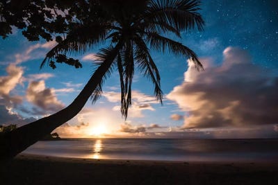 Paradise At Night by Lucas Moore framed canvas print