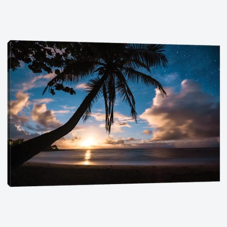 Paradise At Night Canvas Print #LCS71} by Lucas Moore Canvas Art