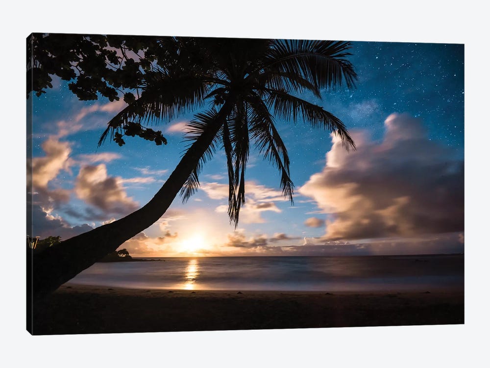 Paradise At Night by Lucas Moore 1-piece Canvas Print