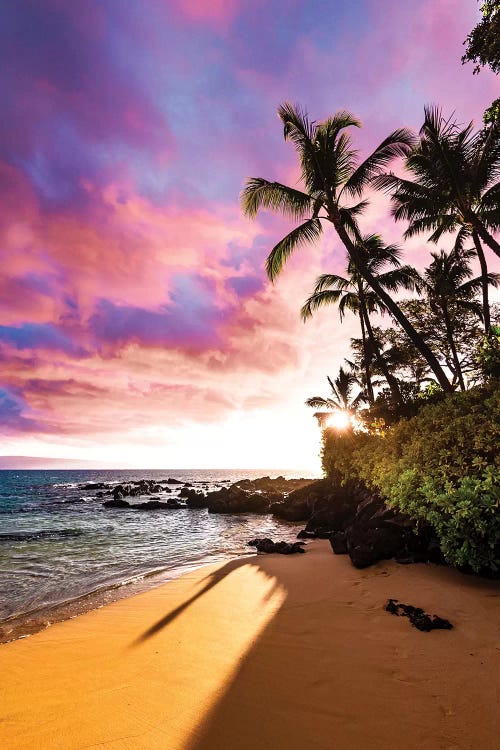 Secret Beach by Lucas Moore wall art