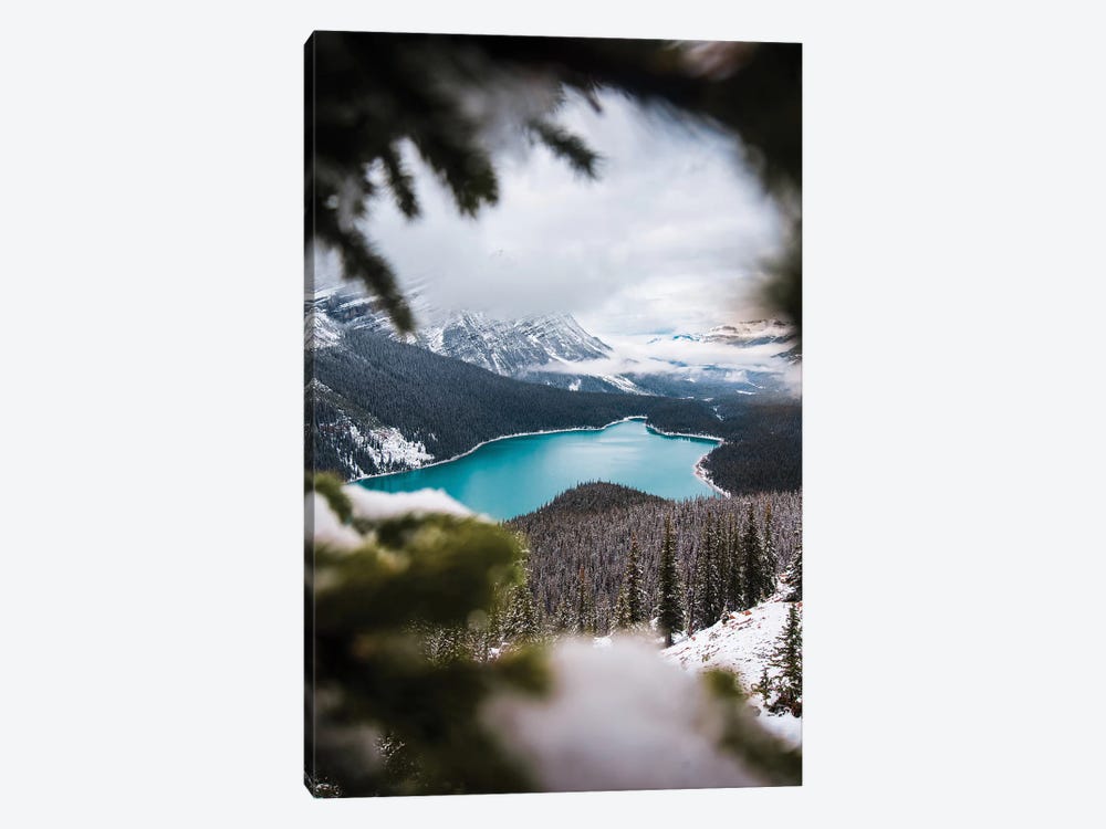 Through The Trees by Lucas Moore 1-piece Canvas Artwork