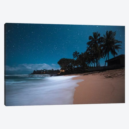 Tropical Night Canvas Print #LCS98} by Lucas Moore Canvas Art