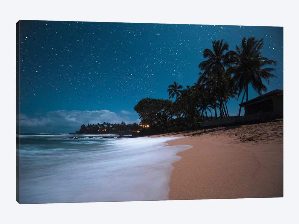 Tropical Night by Lucas Moore 1-piece Canvas Art