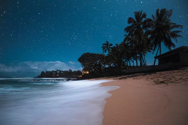 Lucas Moore: Tropical Night by Lucas Moore
