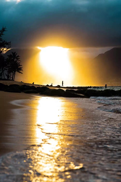 Tropical Sunset by Lucas Moore wall art