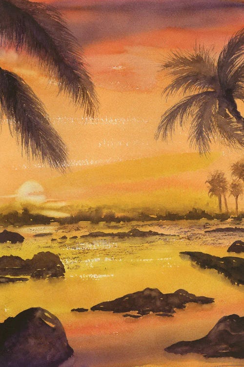 Balmy Sunset by Liz Covington wall art