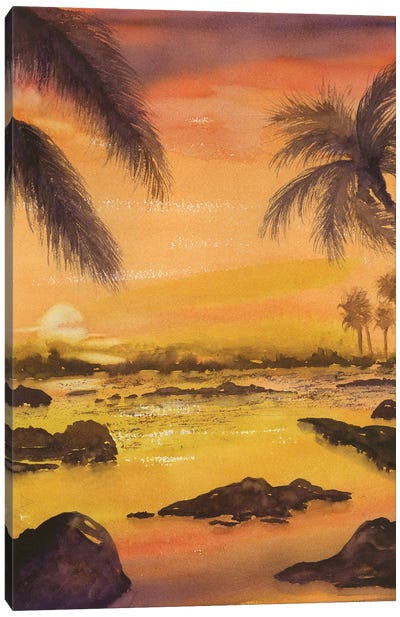 Balmy Sunset Canvas Art Print - Liz Covington