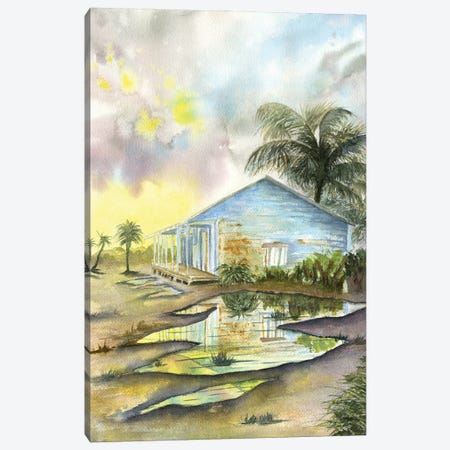 Carribean Sunset Canvas Print #LCV171} by Liz Covington Art Print