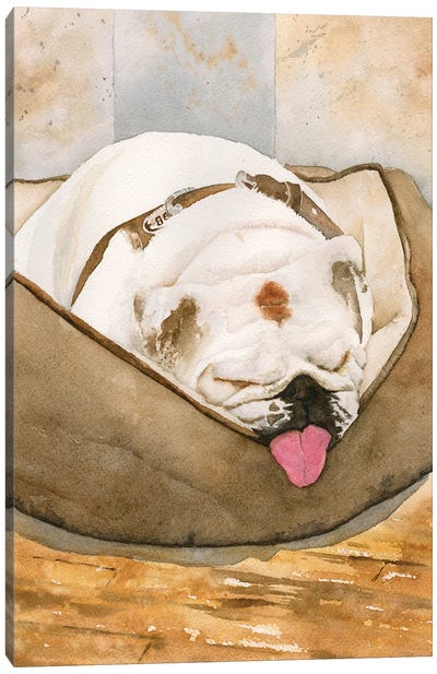 Cutie Pie Canvas Art Print - Bulldog Art